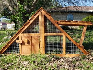 Picture of 3'x6' Emily Chicken Coop with door propped open