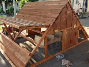 Alphonse 6'x6' Chicken Coop with door propped open
