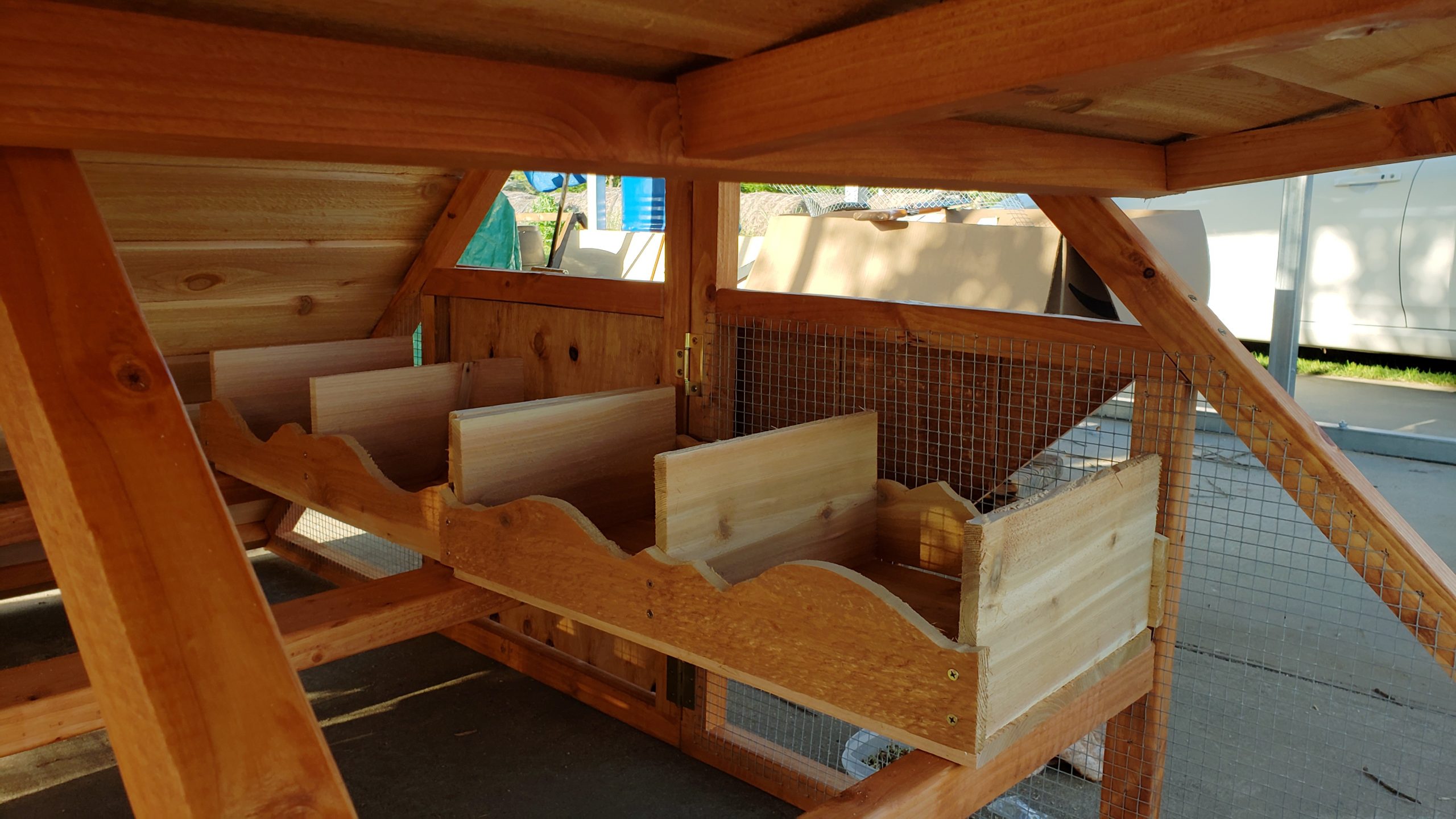 coop_alphonse_inside_two_nestboxes Alphonse 6'x6' chicken coop inside view with 2 nest boxes shown.
