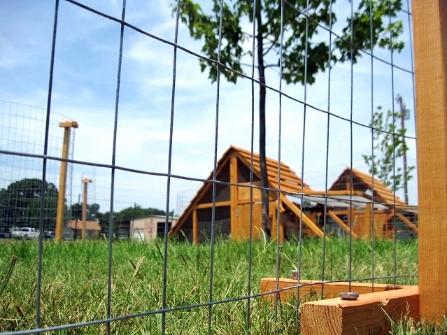 Closeup of bottom of fence post with coops behind